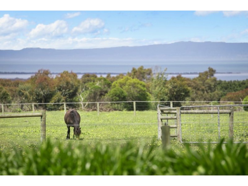 455 Murradoc Road, Drysdale VIC 3222