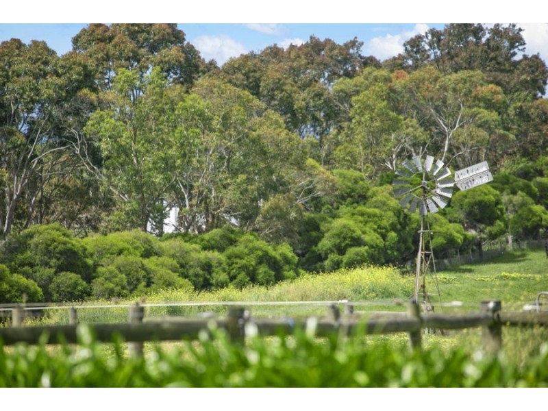 455 Murradoc Road, Drysdale VIC 3222