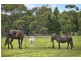 455 Murradoc Road, Drysdale VIC 3222