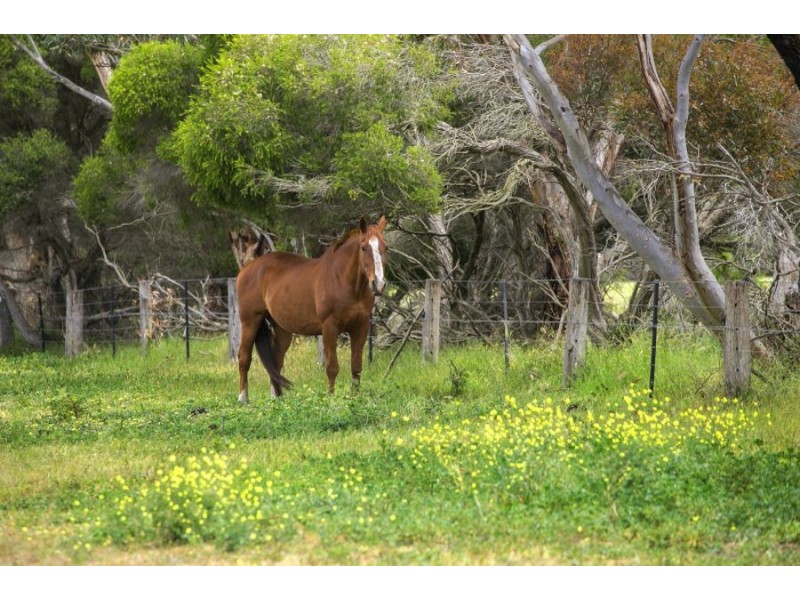 30 Batten Road, Marshall VIC 3216