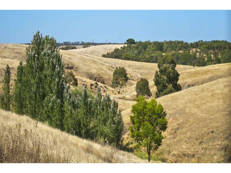 200 Schefferlie Road, Meredith VIC 3333