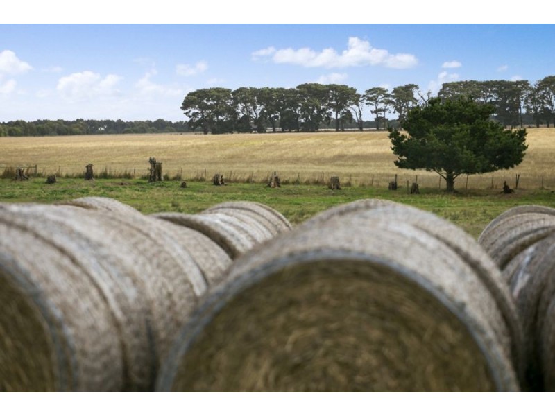 400 Buckley School Road, Buckley VIC 3240