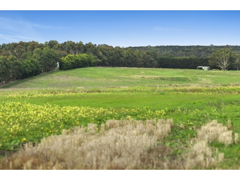 105 Heidi Road, Moriac VIC 3240