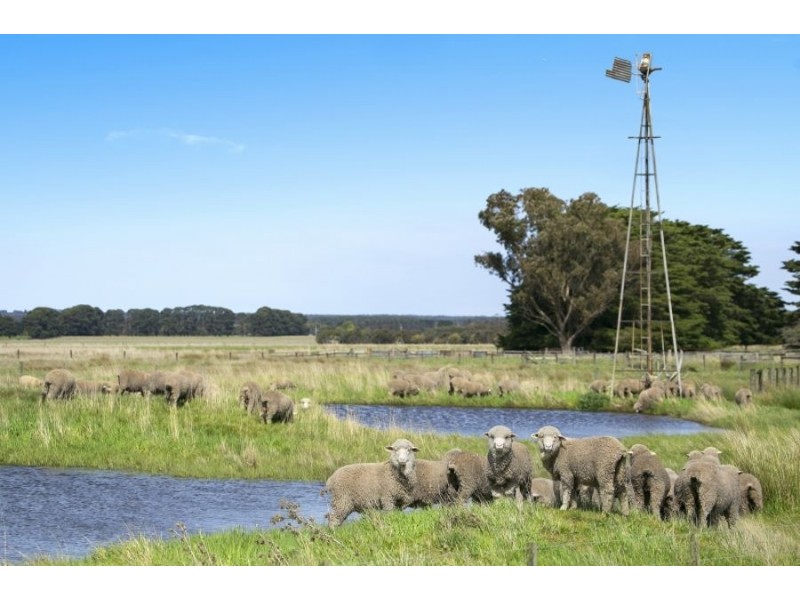 505 Buckley Road South, Buckley VIC 3240