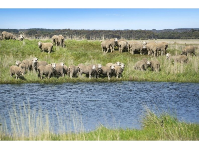 505 Buckley Road South, Buckley VIC 3240