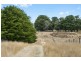 395 Mathisons Road, Winchelsea VIC 3241