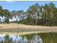 395 Mathisons Road, Winchelsea VIC 3241