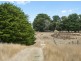 395 Mathisons Road, Winchelsea VIC 3241