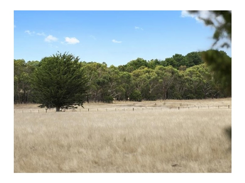 395 Mathisons Road, Winchelsea VIC 3241