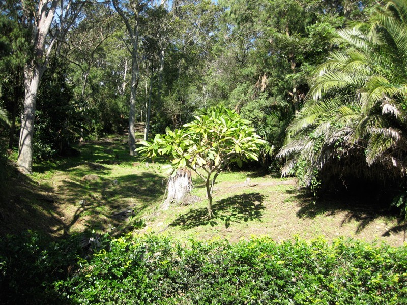 123 George Street, Avalon NSW 2107