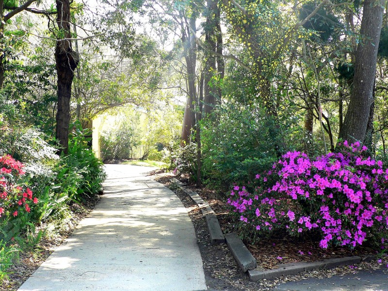 13 Gladys Avenue, Frenchs Forest NSW 2086