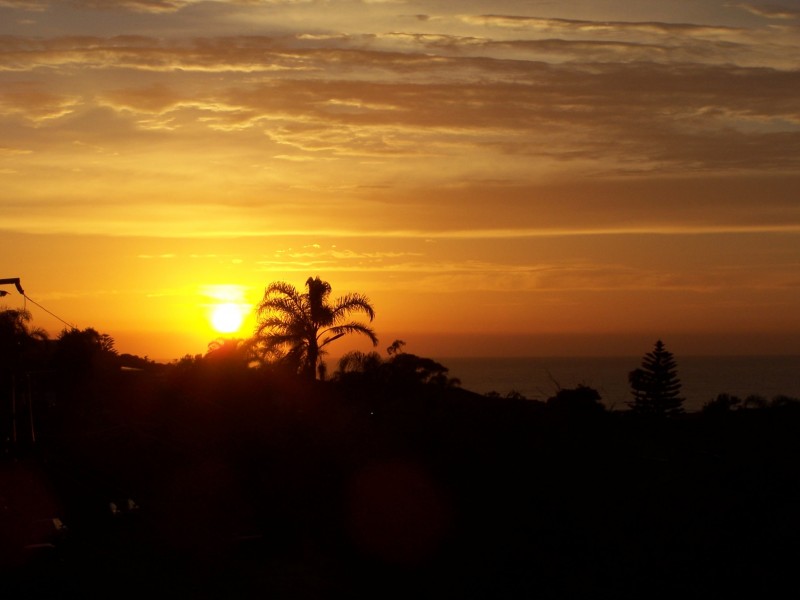 58 Coutts Crescent, Collaroy NSW 2097