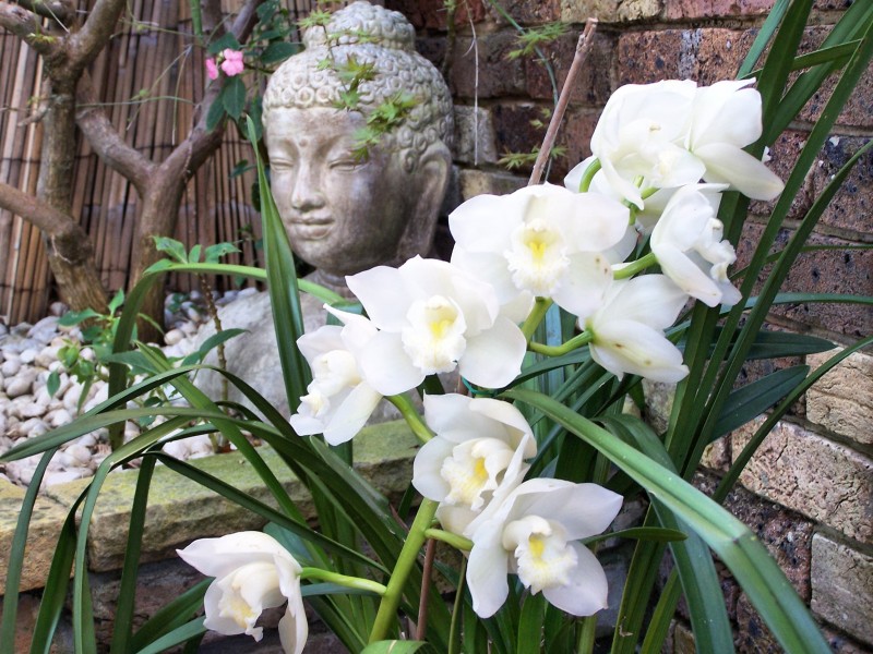 58 Coutts Crescent, Collaroy NSW 2097