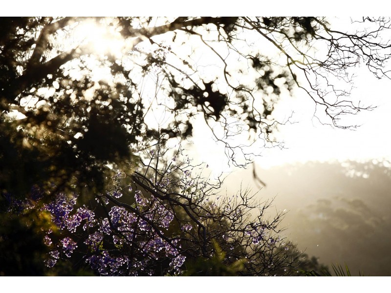 3 Sterland Avenue, North Manly NSW 2100