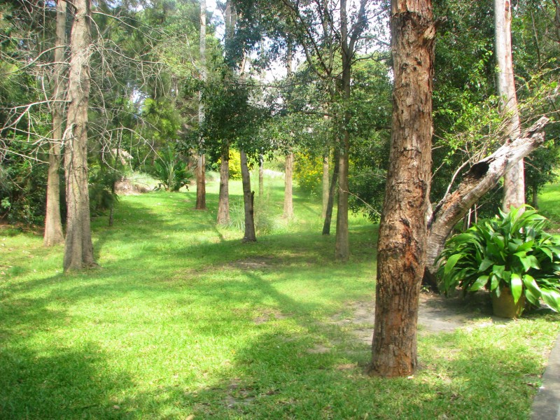 Frenchs Forest NSW 2086