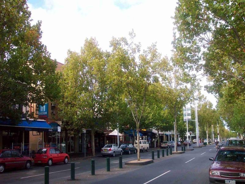 5A Naughton Place, Carlton VIC 3053