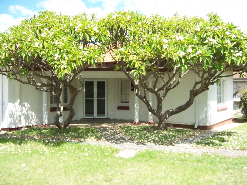 38 Fullagar Road, Wentworthville NSW 2145