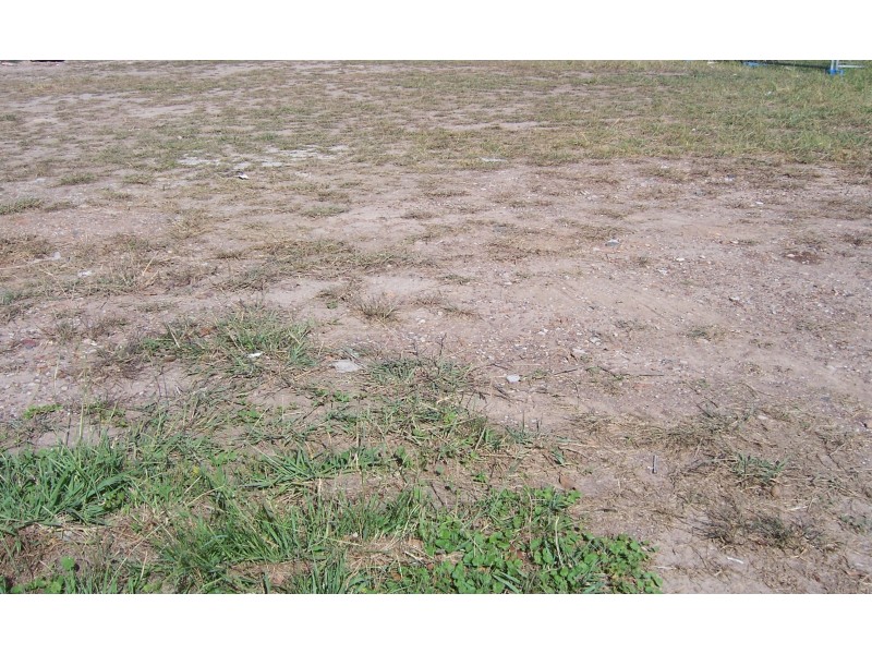 20 Grandiflora Street, Rouse Hill NSW 2155