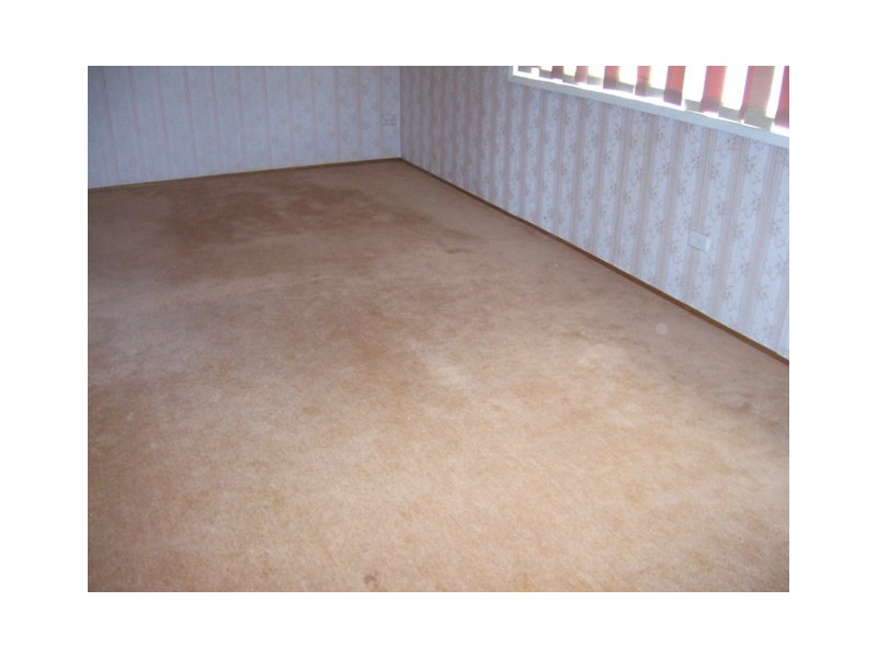 46 Lytton Street, Wentworthville NSW 2145