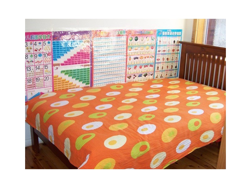 23 Austin Crescent, Constitution Hill NSW 2145