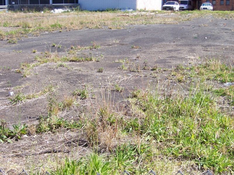 Wentworthville NSW 2145