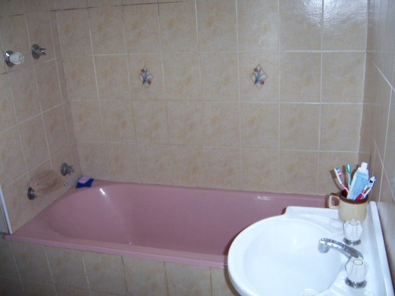 100 Ballandella Road, Toongabbie NSW 2146