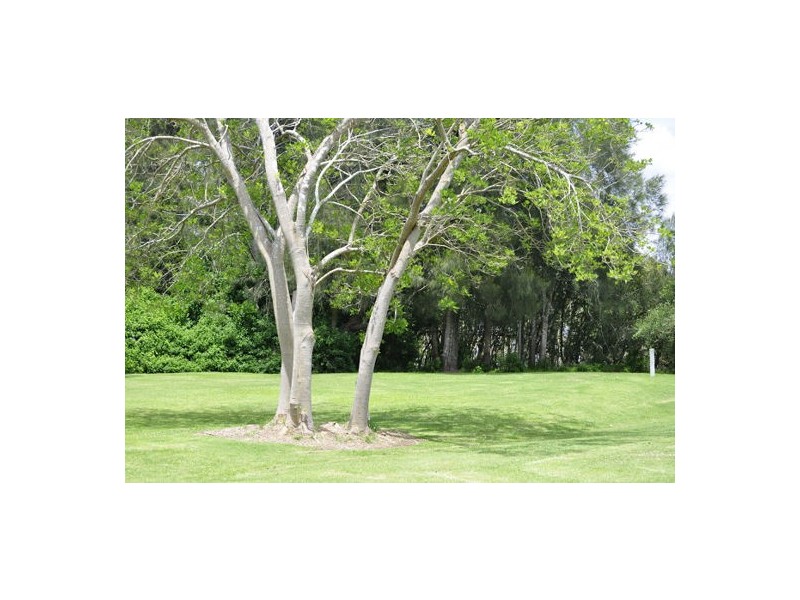 5/30 Webb Street, East Gosford NSW 2250