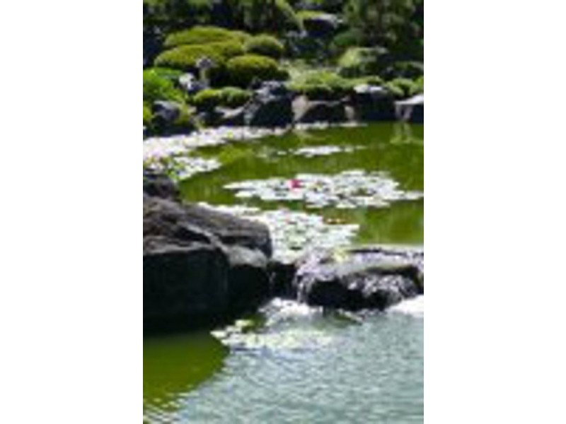 5/30 Webb Street, East Gosford NSW 2250