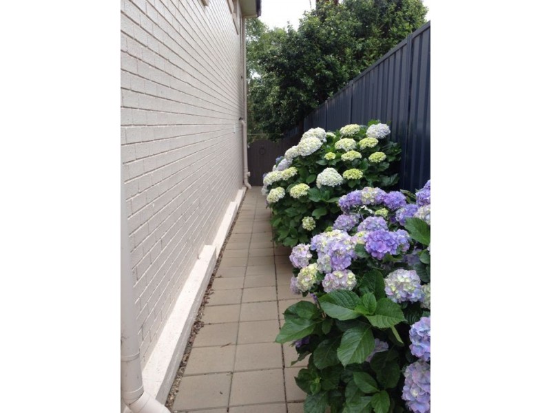 423B The Entrance Road, Erina Heights NSW 2260