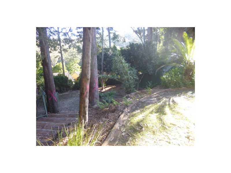 49 Rainforest Road, Wyoming NSW 2250