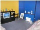 17 York Street, Point Frederick NSW 2250