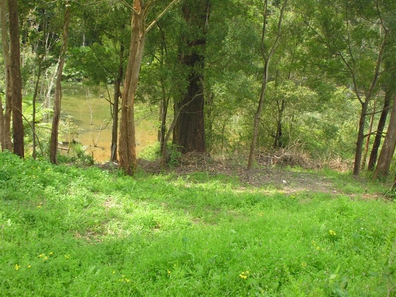 8  Watergum Place, Springfield NSW 2250