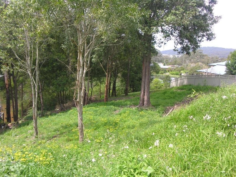 8  Watergum Place, Springfield NSW 2250