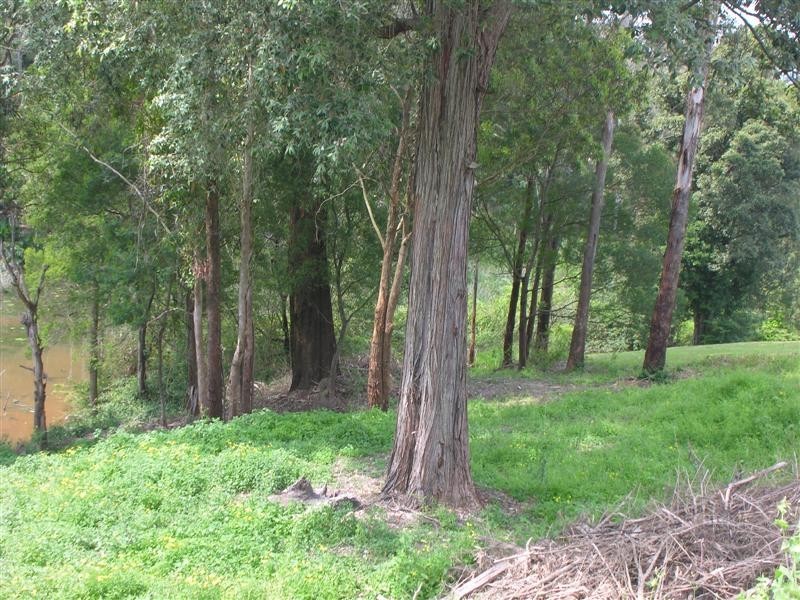 8  Watergum Place, Springfield NSW 2250