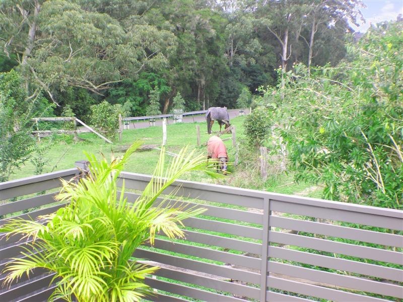 3 Cobbedah Drive, Springfield NSW 2250