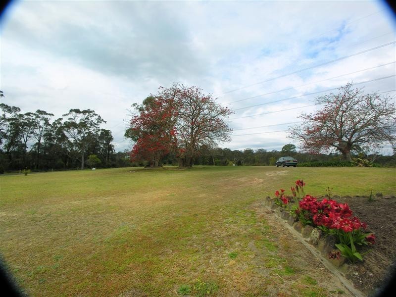 139 Waratah Road, Mangrove Mountain NSW 2250