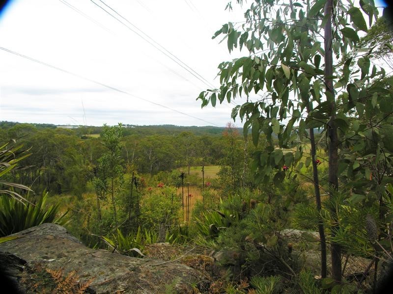 139 Waratah Road, Mangrove Mountain NSW 2250