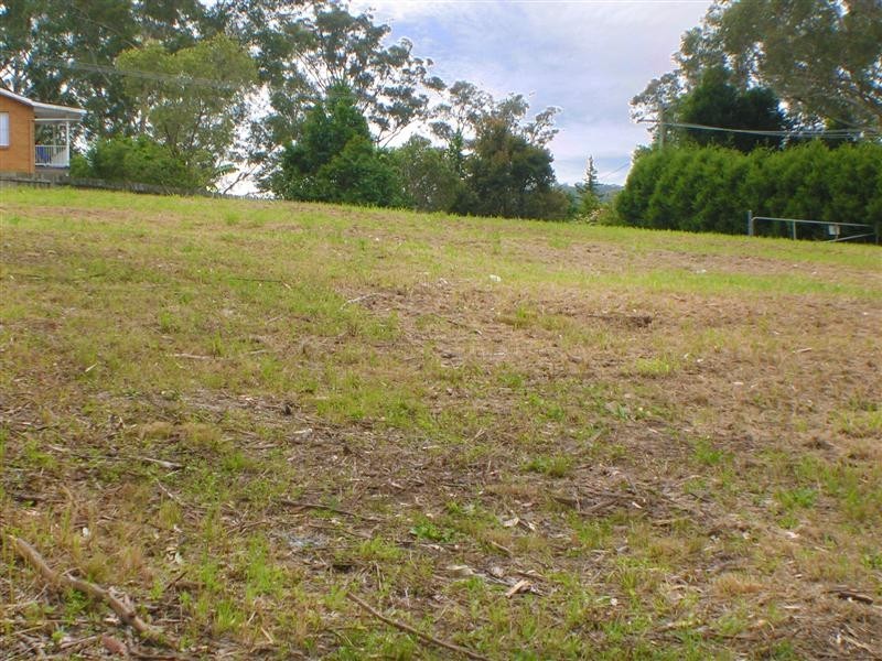 10 Springfield Road, Springfield NSW 2250