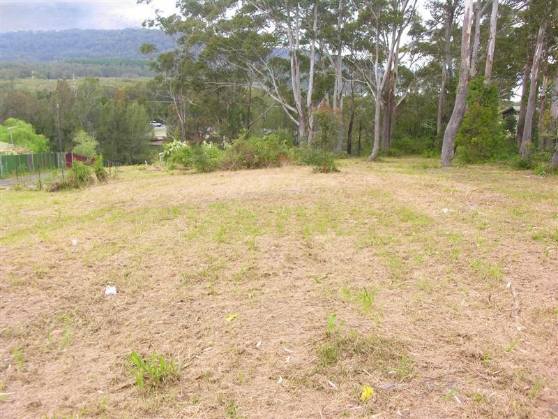 10 Springfield Road, Springfield NSW 2250