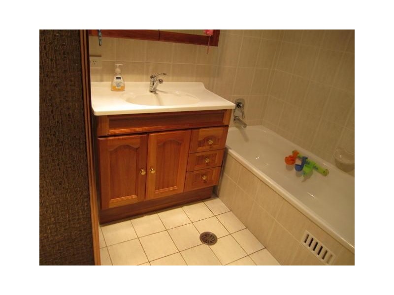 166 Wells Street, Springfield NSW 2250