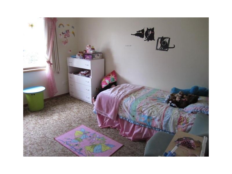 166 Wells Street, Springfield NSW 2250