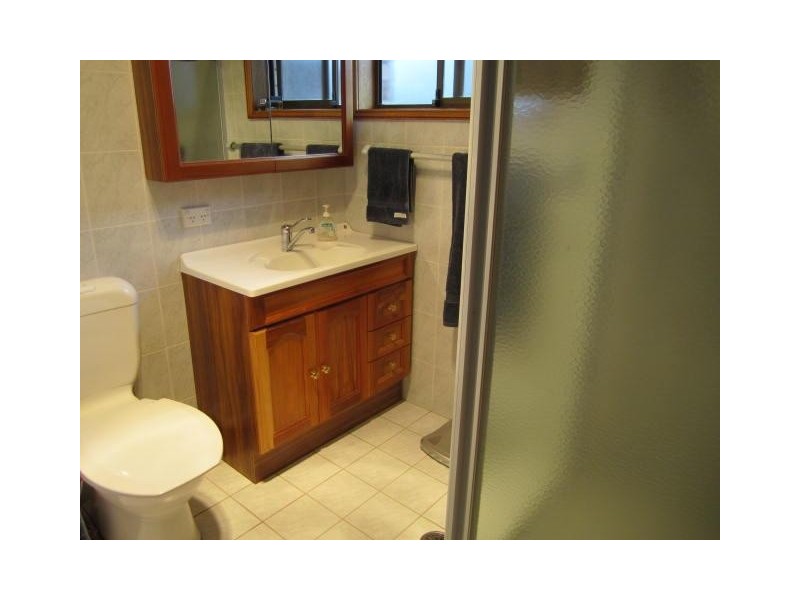 166 Wells Street, Springfield NSW 2250