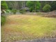 9 Holland Close, Springfield NSW 2250