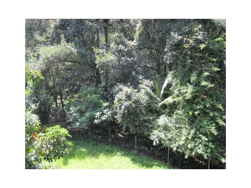 20 Tulip Street, Springfield NSW 2250