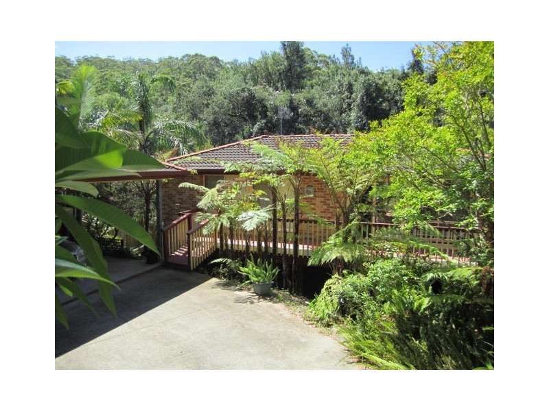 20 Tulip Street, Springfield NSW 2250