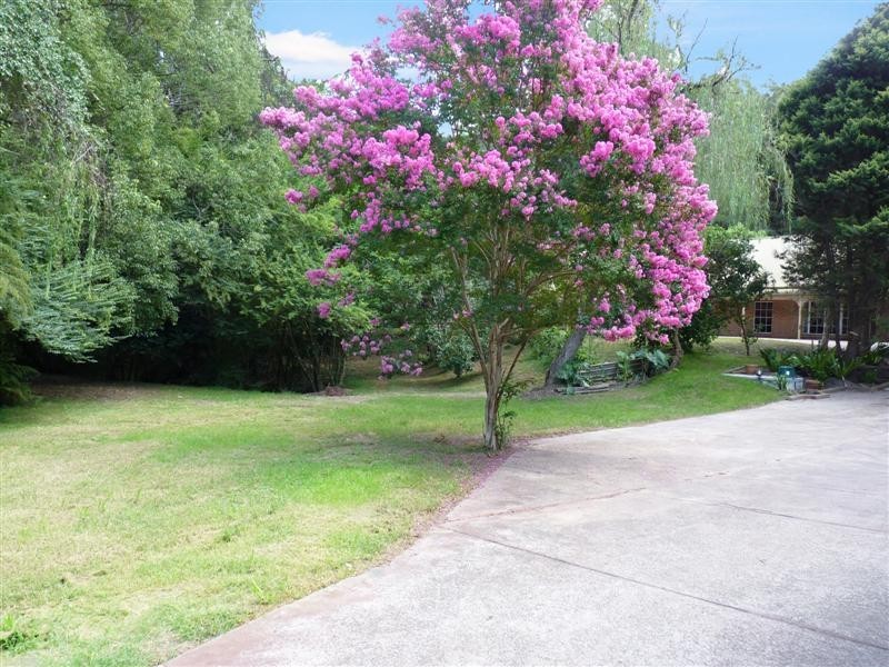 4/109 Coachwood Road, Matcham NSW 2250