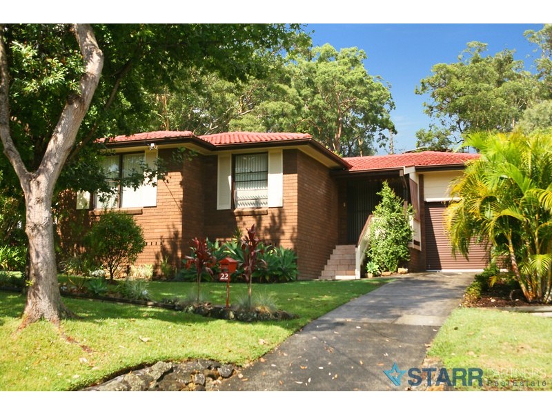22 Lock Ave, Springfield NSW 2250