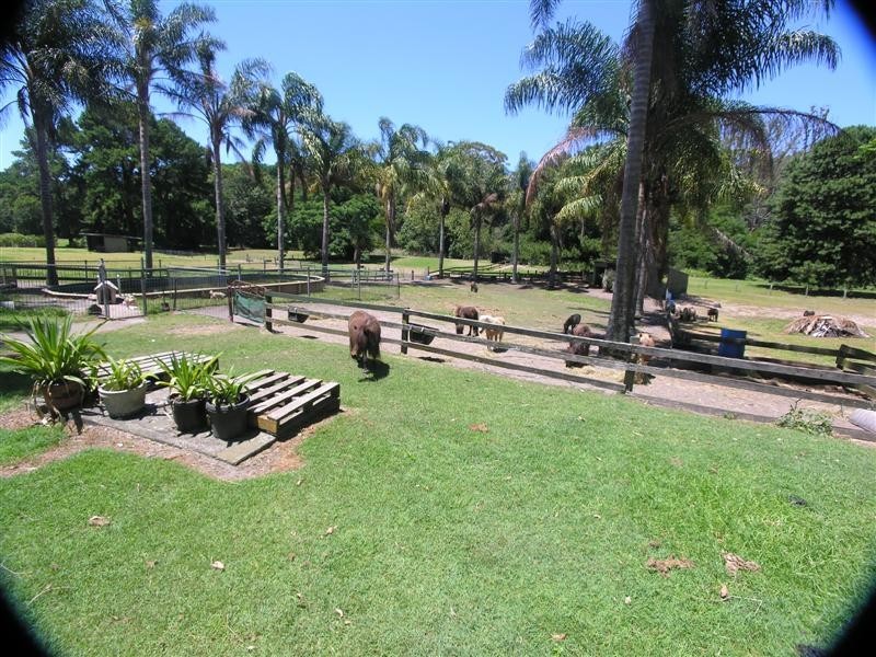 254 Pacific Highway, Ourimbah NSW 2258