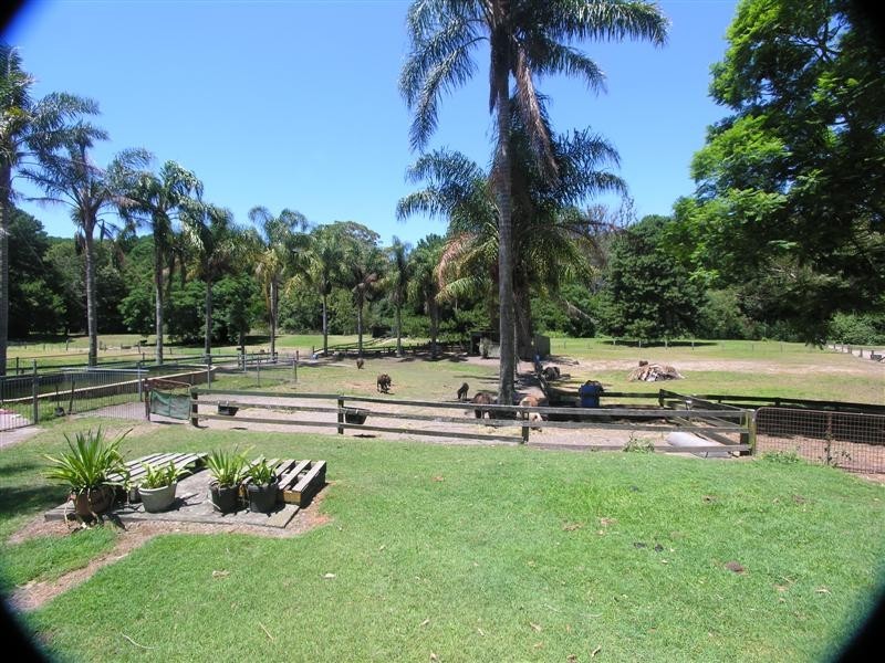 254 Pacific Highway, Ourimbah NSW 2258