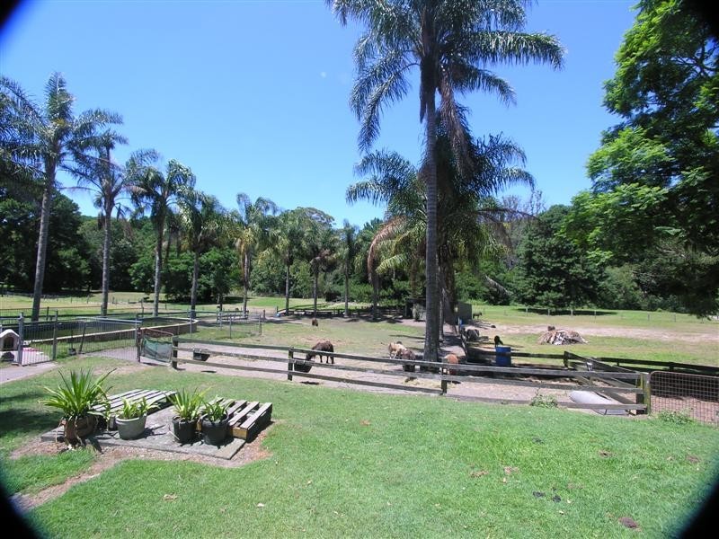 254 Pacific Highway, Ourimbah NSW 2258